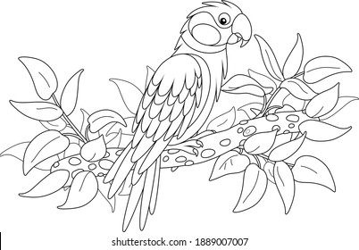 Amusing parrot perched on a tree branch in a tropical jungle, black and white outline vector cartoon illustration for a coloring book page