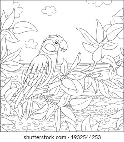Amusing Papagefäule auf einem Baumzweig in einem tropischen Dschungel einer exotischen Südinsel, schwarz-weißer Umriss, Vektorgrafik-Illustration für eine farbige Buchseite