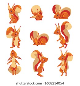 Amusing Squirrel Collection, Funny Little Rodent Animal Cartoon Character in Various Poses Vector illustration