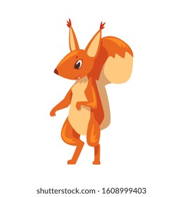 Amusing Squirrel, Funny Little Rodent Animal Cartoon Character Standing on Two Legs Vector illustration