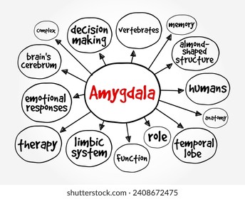 Amygdala is the integrative center for emotions, emotional behavior, and motivation, mind map concept background svg