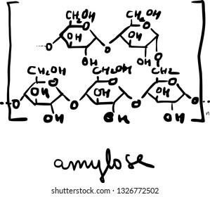 Amylose chemical structure. 
