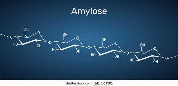 Amylose molecule. It is a polysaccharide and one of the two components of starch. Structural chemical formula on the dark blue background. Vector illustration