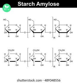 Amylose polymer chemical structure, starch component, chemical illustration, 2d vector, isolated on white background, eps 8