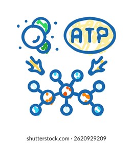 anabolism biochemistry doodle icon sketch vector. anabolism biochemistry sign. isolated symbol illustration