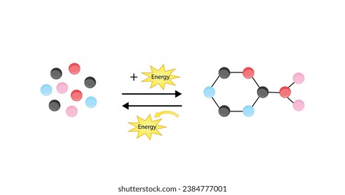 Anabolism, Catabolism. Anabolism is a process of building up complex macromolecules. Catabolism is process of breaking down complex macromolecules into small molecules. ATP energy. Vector design.