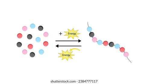 Anabolism, Catabolism. Anabolism is a process of building up complex macromolecules. Catabolism is process of breaking down complex macromolecules into small molecules. ATP energy. Vector design.