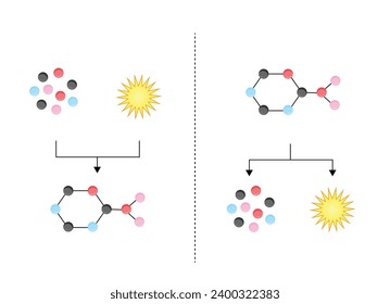 Anabolism, Catabolism. Anabolism is a process of building up complex macromolecules. Catabolism is process of breaking down complex macromolecules into small molecules. ATP energy. Vector design.