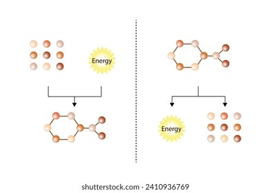 Anabolism, Catabolism. Anabolism is a process of building up complex macromolecules. Catabolism is process of breaking down complex macromolecules into small molecules. ATP energy. Vector design.