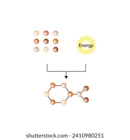 Anabolism is a process of building up complex macromolecules. ATP energy. Vector design.