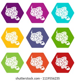Anaconda snake icons 9 set coloful isolated on white for web