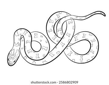 Anaconda snake line icon vector illustration. Outline hand drawn water boa, vintage sketch of water boa, tropical reptile.