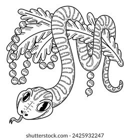 Anaconda snake on spruce branch coloring book. Hand drawn sketch illustration.