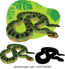 Anaconda snake from south america on the background of green tropical leaves