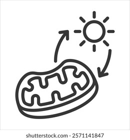 Anaerobic Respiration Icon Vector Illustration Outline