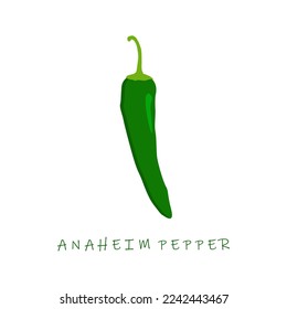 anaheim pepper flat design vector illustration. Capsicum annuum anaheim chili.