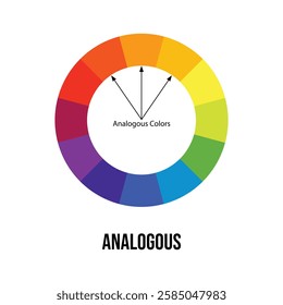 analogous color wheel vector design illustration