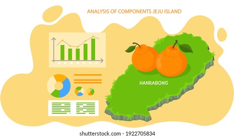 Analysis of components jeju island, poster to reveal statistics of tourists visiting showplace mandarine orange Hanrabong plantation, citrus fruit exotic plant of green asian island in south korea