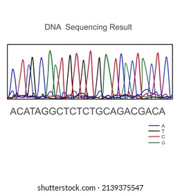 The analytical picture of DNA sequencing for detection the Genome sequencing of unknown sample use for research or diagnosis