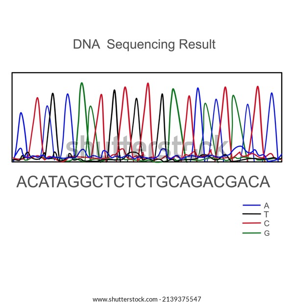 L'analyse du séquençage de l'ADN pour : image vectorielle de stock ...