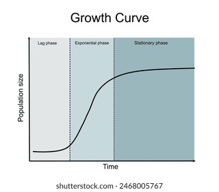 El resultado analítico de la tasa de crecimiento de bacterias o células que muestra la correlación entre el tamaño de la población y el tiempo en la fase logarítmica, exponencial y estacionaria en la curva.