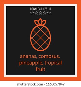 ananas, compsus, pineapple, tropical fruit  vector icon