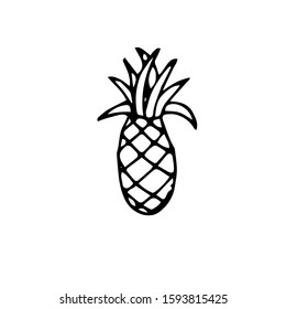 Ananas hand drawn sketch icon. Monochrome fruit design element stock vector illustration for web, for print