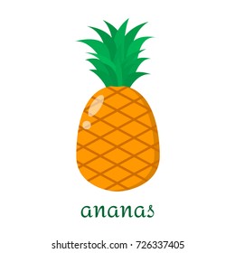 Ananas icon in flat style isolated on white background./Ananas icon in flat style. Isolated object, logo. Fruit from the farm. Organic food. Vector illustration.
