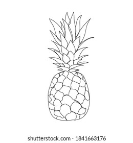 Ananas - one line drawing. Vector illustration continuous line drawing. Abstract