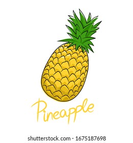 Ananas and text Pineapple , tropical fruit isolated on white background, vector illustration