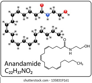 Anandamide Molecule Structure
