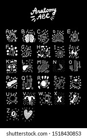 Anantomy big hand drawn set of human organs medical poster print white on black chalk