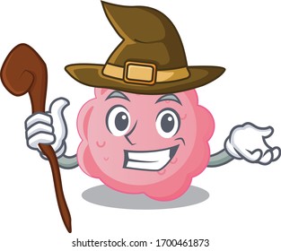 anaplasma phagocytophilum sneaky and tricky witch cartoon character