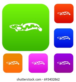 Anarhichas fish set icon in different colors isolated vector illustration. Premium collection