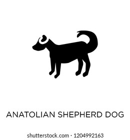 Anatolian Shepherd Dog dog icon. Anatolian Shepherd Dog dog symbol design from Dogs collection. Simple element vector illustration on white background.