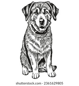 Anatolian Shepherd dog portrait in vector, animal hand drawing for tattoo or tshirt print illustration