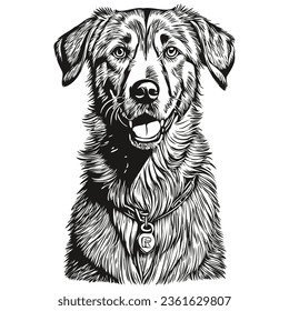 Anatolian Shepherd dog realistic pencil drawing in vector, line art illustration of dog face black and white