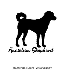 Anatolian Shepherd Dog silhouette dog breeds logo dog monogram vector