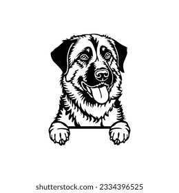 Anatolian Shepherd Peeking Dog Vector, Peeking Dog Cut File, Criut Lasr