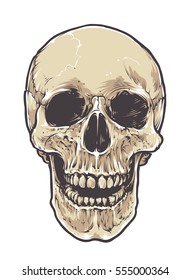 Anatomic Grunge Skull Vector Art. Detailed hand drawn illustration of skull isolated on white background. Colored version. Tattoo style skull art. Grunge weathered illustration.