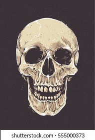 Anatomic Grunge Skull Vector Art. Detailed hand drawn illustration of skull on dark background. Colored version. Tattoo style skull art. Grunge weathered illustration.
