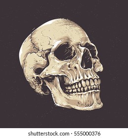 Anatomic Grunge Skull Vector Art  Detailed hand drawn illustration skull dark background  Colored version  Tattoo style skull art  Grunge weathered illustration 