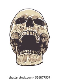 Anatomic Grunge Skull Vector Art. Detailed hand drawn illustration of skull isolated on white background. Colored version. Tattoo style skull art. Grunge weathered illustration.