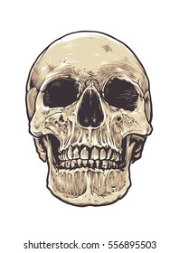 Anatomic Grunge Skull Vector Art. Detailed hand drawn illustration of skull isolated on white background. Colored version. Tattoo style skull art. Grunge weathered illustration.