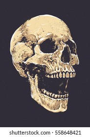 Anatomic Grunge Skull Vector Art. Detailed hand drawn illustration of skull on dark background. Colored version. Tattoo style skull art. Grunge weathered illustration.