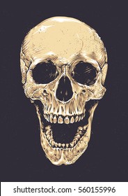 Anatomic Grunge Skull Vector Art. Detailed hand drawn illustration of skull on dark background. Colored version. Tattoo style skull art. Grunge weathered illustration.