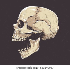 Anatomic Grunge Skull Vector Art. Detailed hand drawn illustration of skull on dark background. Colored version. Tattoo style skull art. Grunge weathered illustration.