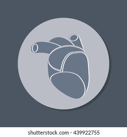 anatomic heart icon. medicine heart vector sign
