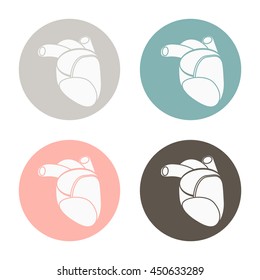anatomic heart icon. medicine heart vector sign