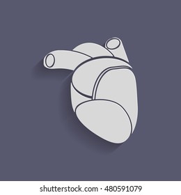 anatomic heart icon. medicine heart vector sign